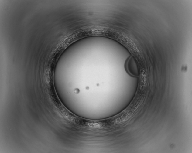 X0000101140698200806270920