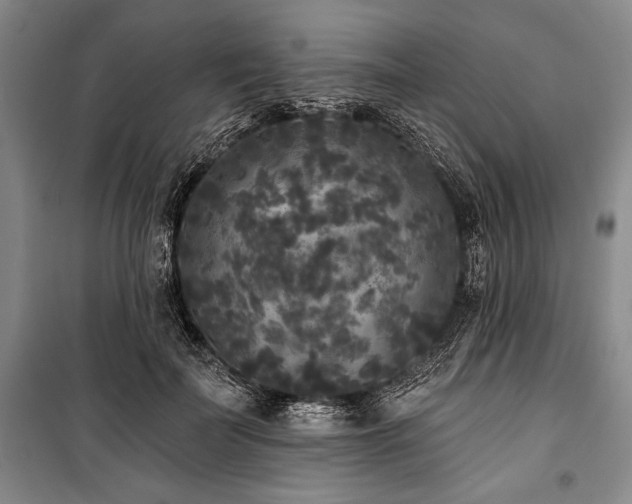 X0000101140699200806270920