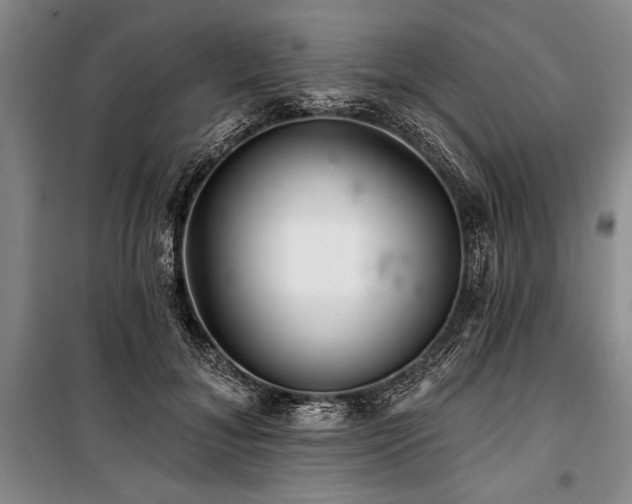 X0000101140700200806270920