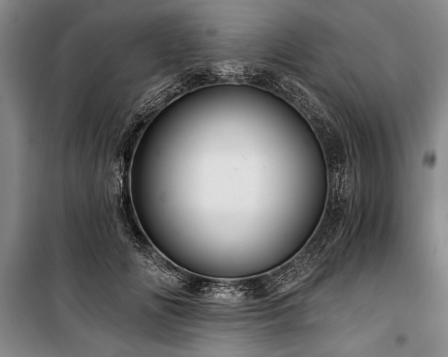 X0000101140702200806270920