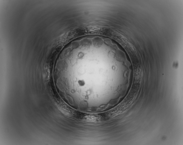 X0000101140703200806270920