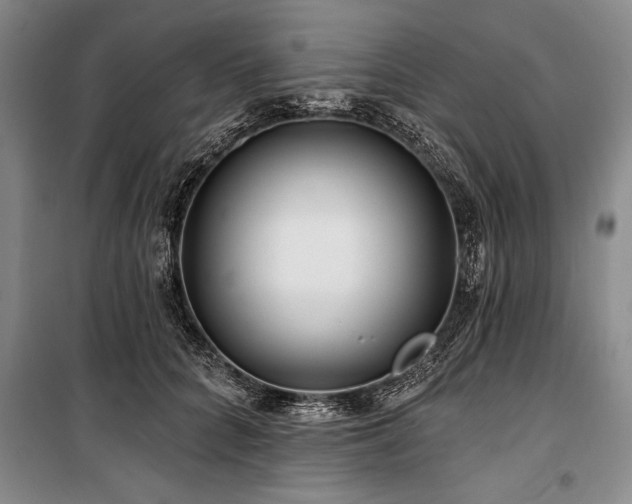 X0000101140704200806270920