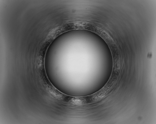 X0000101140706200806270919