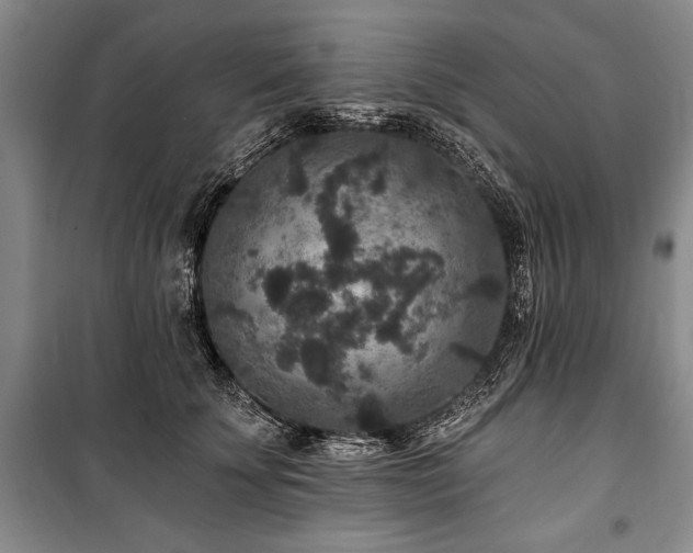 X0000101140707200806270919