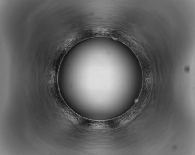 X0000101140708200806270919