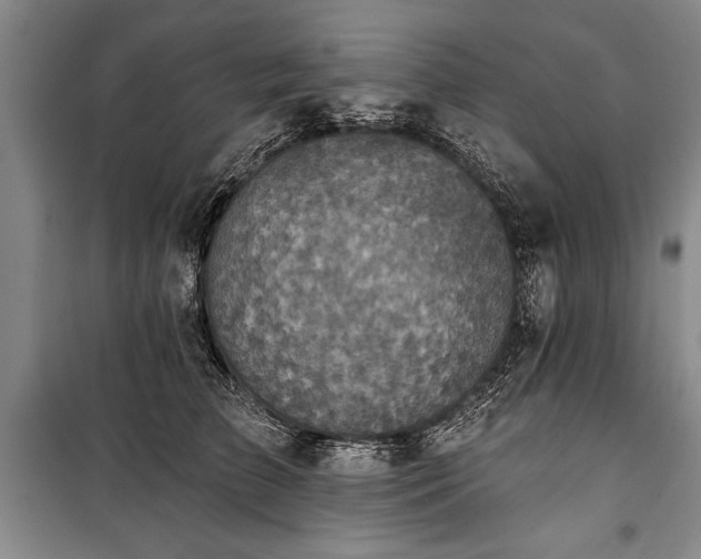 X0000101140709200806270919