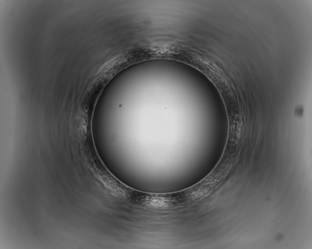 X0000101140710200806270919