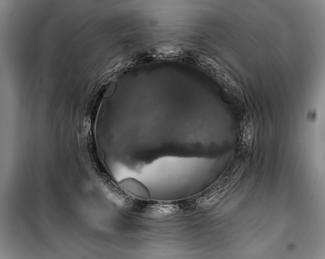 X0000101140711200806270919