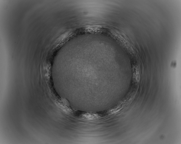 X0000101140712200806270919