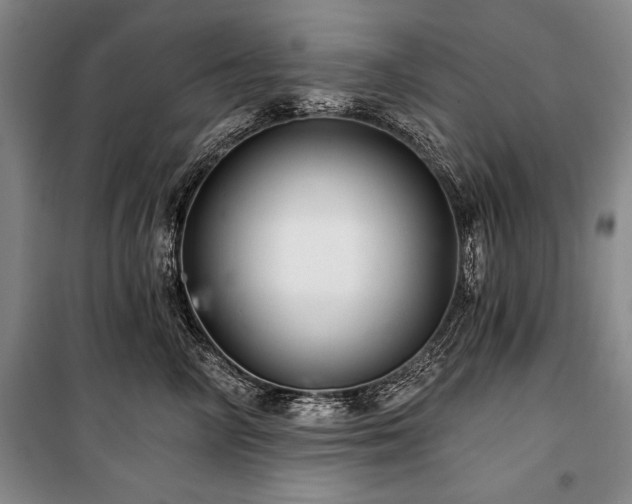 X0000101140714200806270919