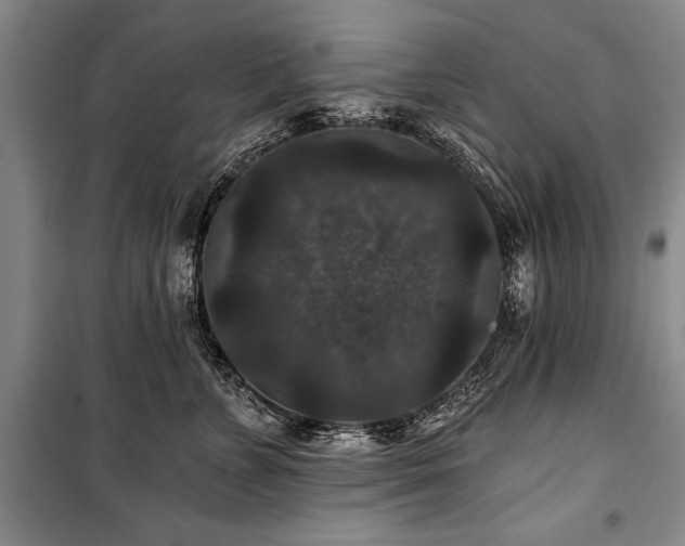 X0000101140715200806270919