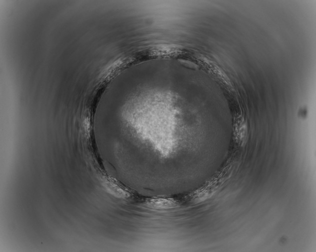 X0000101140716200806270919