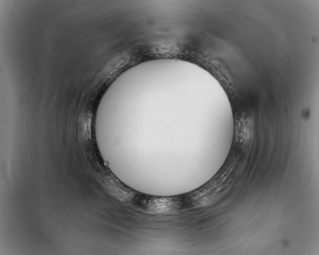 X0000101140717200806270919