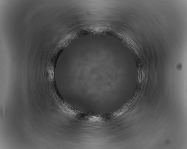 X0000101140718200806270919