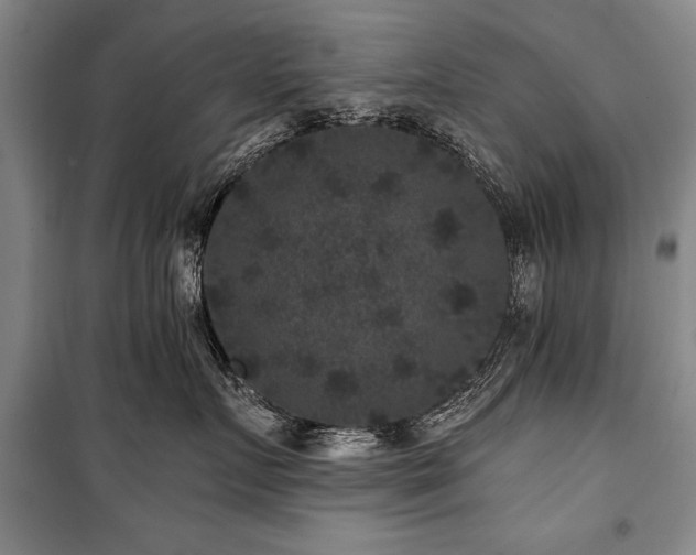 X0000101140719200806270919