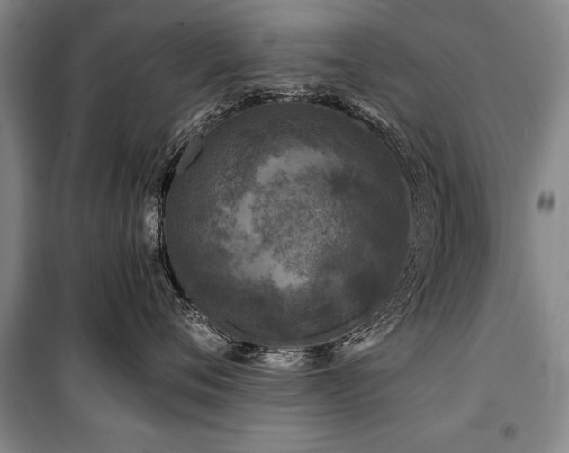 X0000101140720200806270919