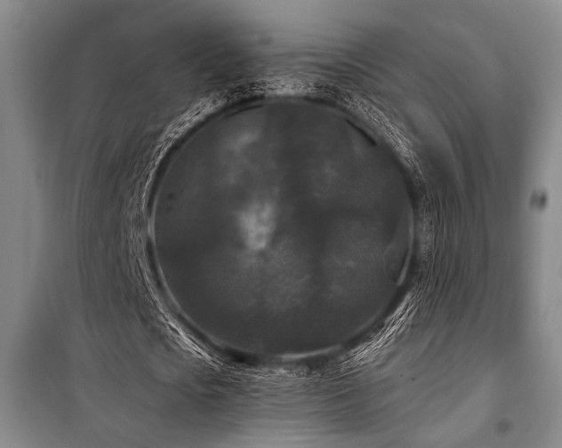 X0000101140721200806270919