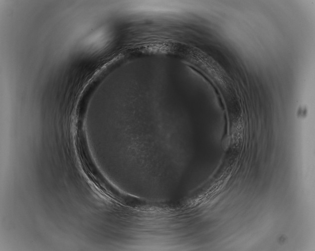 X0000101140722200806270919