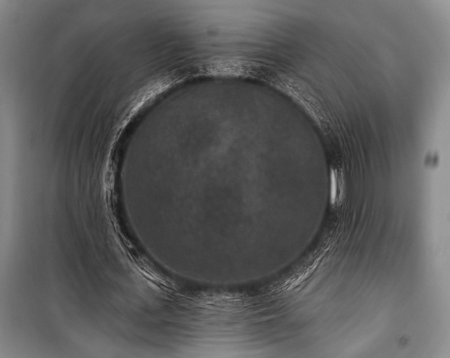 X0000101140723200806270919