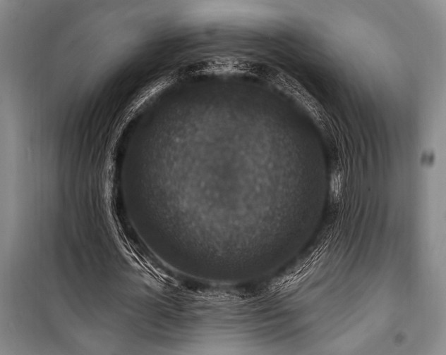 X0000101140724200806270919