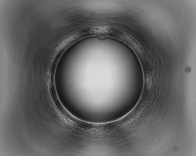 X0000101140725200806270919