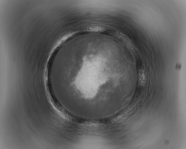 X0000101140726200806270919