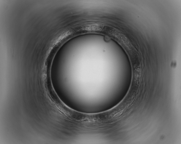 X0000101140727200806270919