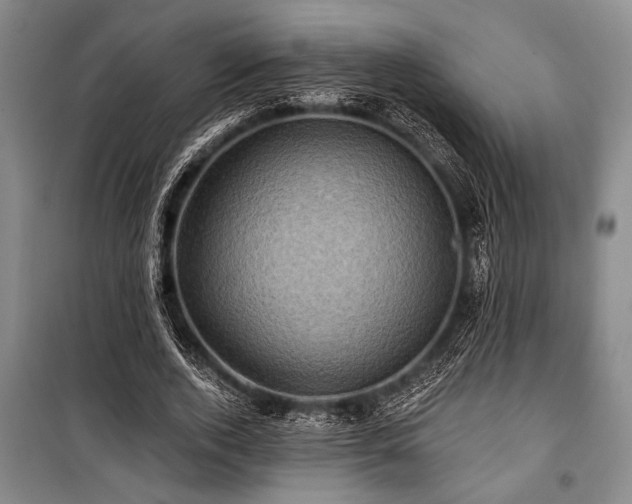 X0000101140728200806270919