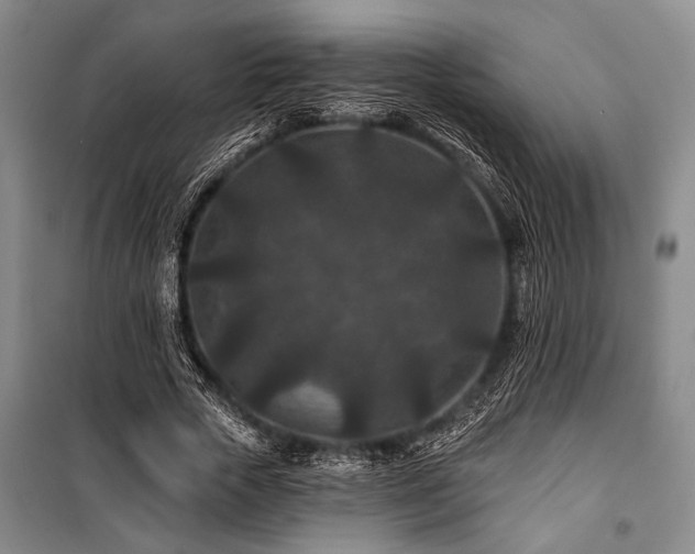 X0000101140729200806270919