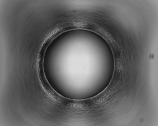 X0000101140730200806270919