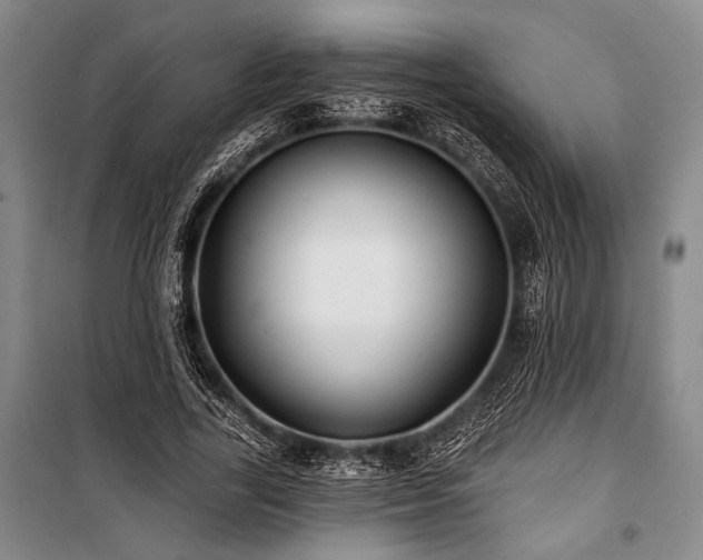 X0000101140731200806270919