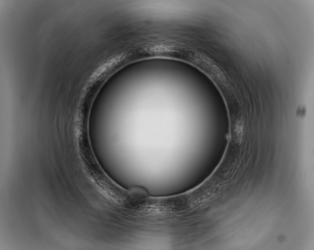 X0000101140732200806270919