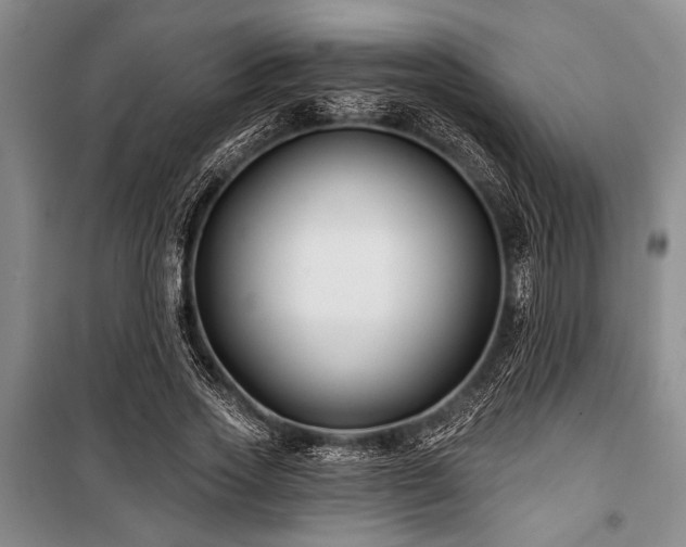 X0000101140733200806270919