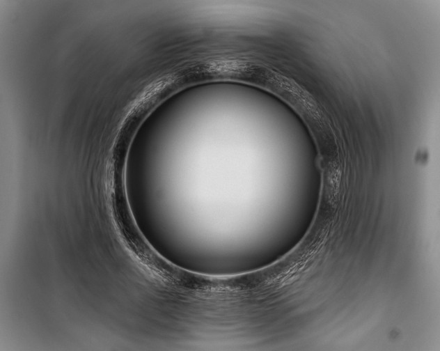 X0000101140734200806270919