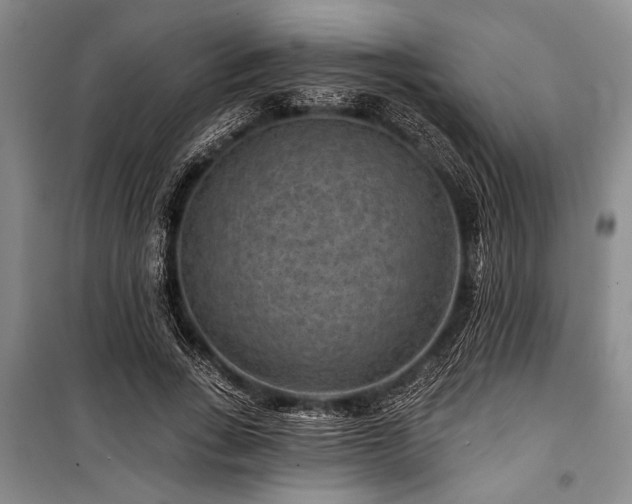 X0000101140735200806270919