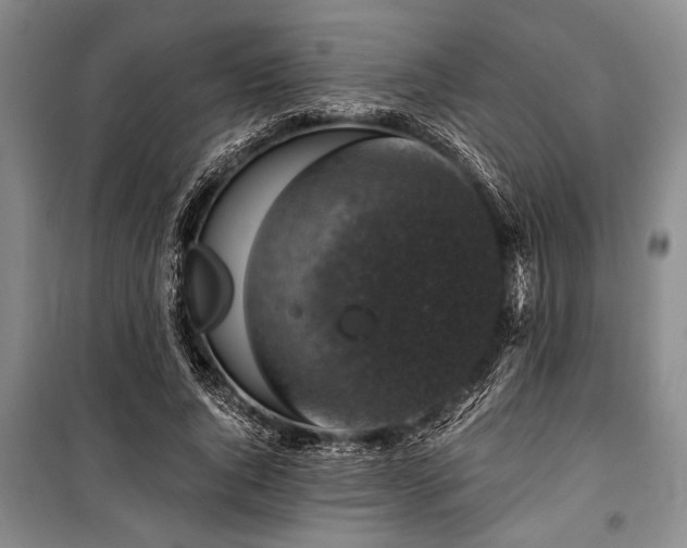 X0000101140736200806270919