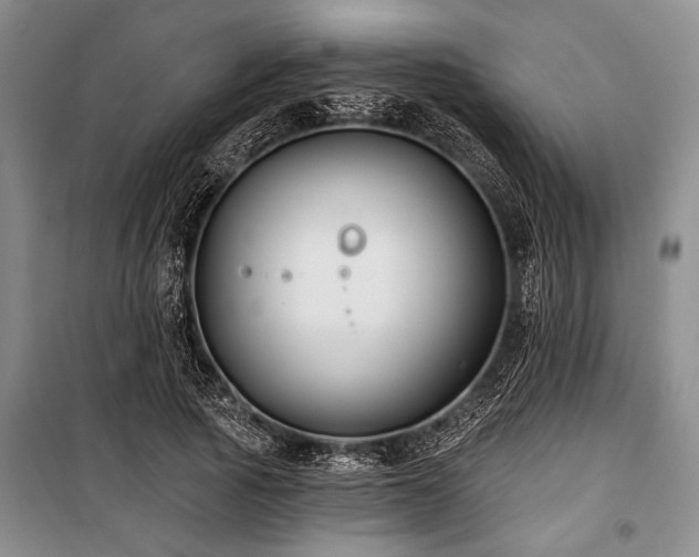 X0000101140737200806270919