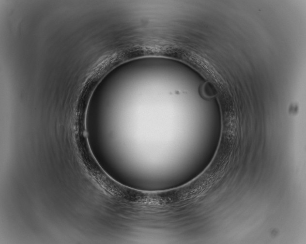 X0000101140738200806270919