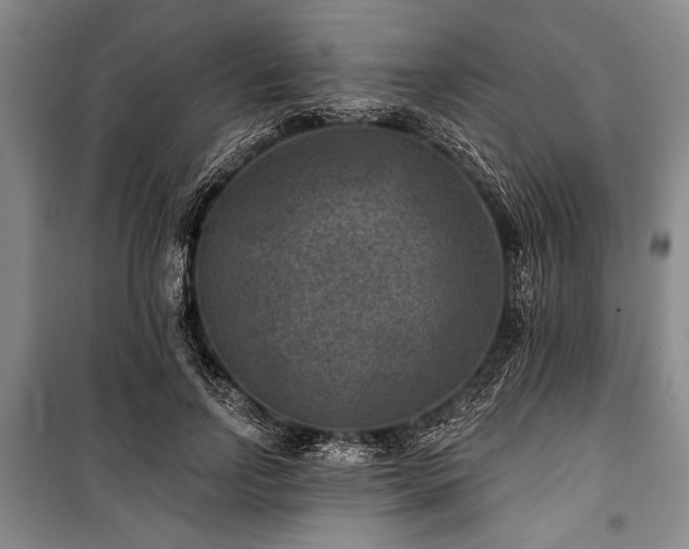 X0000101140742200806270919