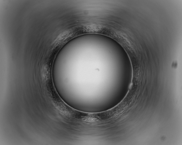 X0000101140743200806270919