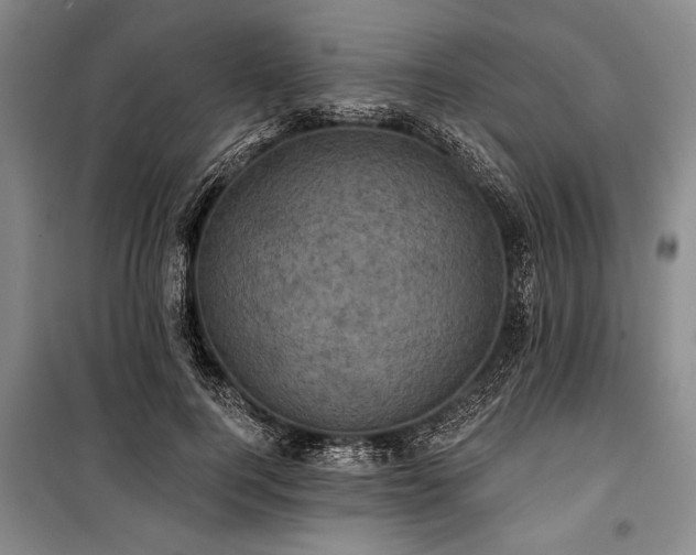 X0000101140744200806270919