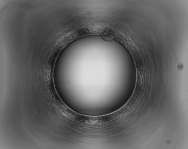 X0000101140745200806270919