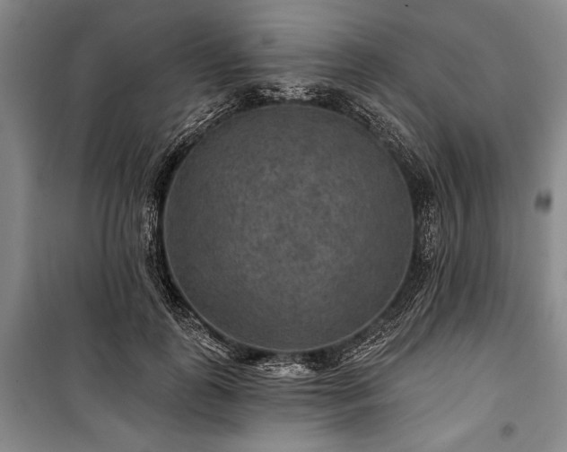 X0000101140747200806270919