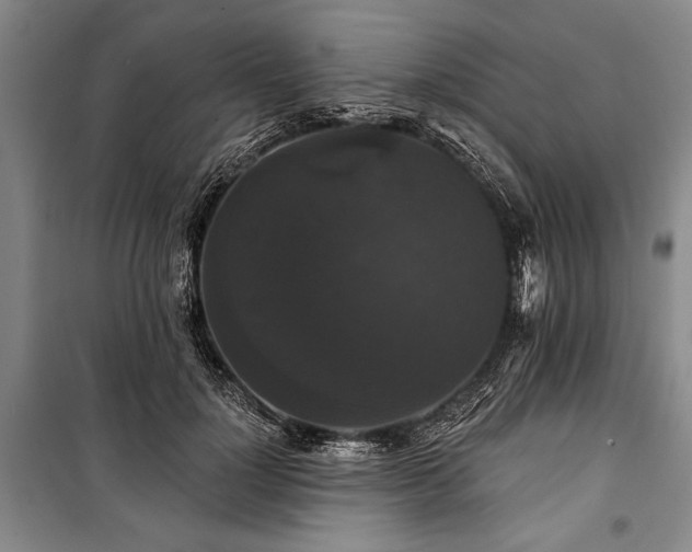 X0000101140748200806270919