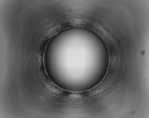 X0000101140749200806270919