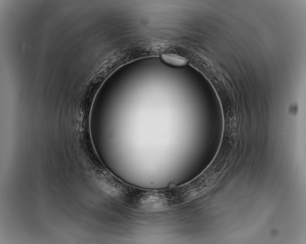 X0000101140750200806270919