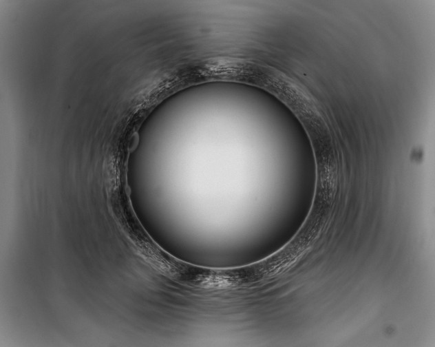 X0000101140751200806270919