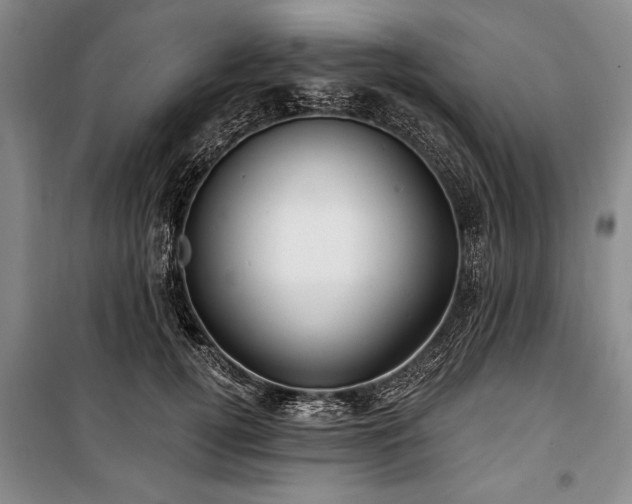 X0000101140752200806270919