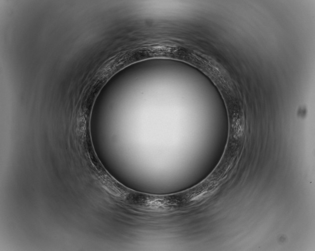 X0000101140753200806270919