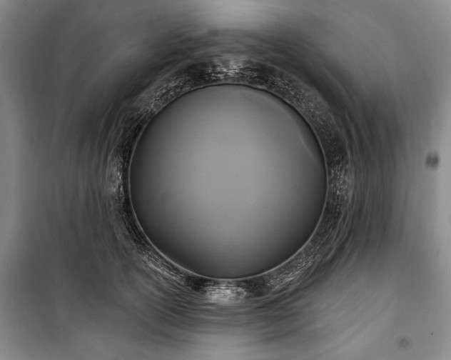 X0000101140754200806270919